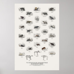 Dikhuidige Viervoeters - Naturalist's Library Poster