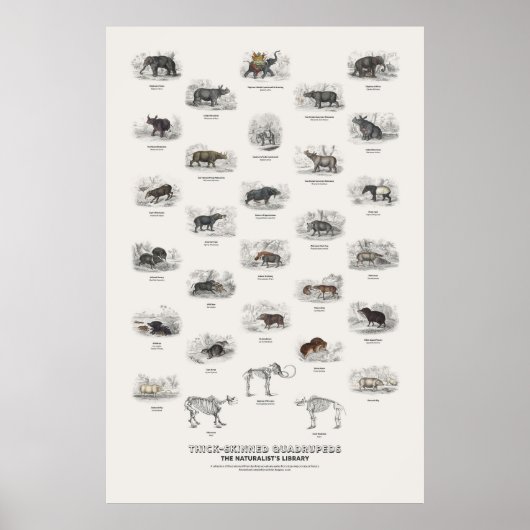 Dikhuidige Viervoeters - Naturalist's Library Poster (Voorkant)