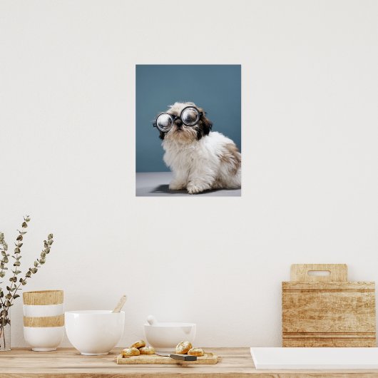 Dikke bril dragen poster (Keuken)