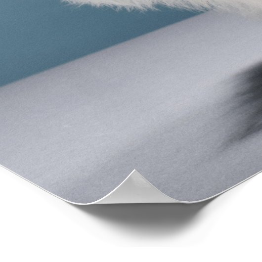 Dikke bril dragen poster (Hoek)