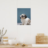 Dikke bril dragen poster (Keuken)