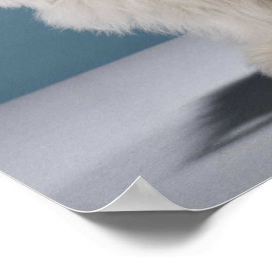 Dikke bril dragen poster (Hoek)