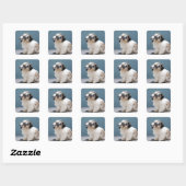 Dikke bril dragen vierkante sticker (Vel)