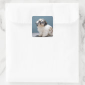 Dikke bril dragen vierkante sticker (Tas)