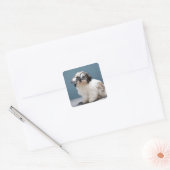 Dikke bril dragen vierkante sticker (Envelop)