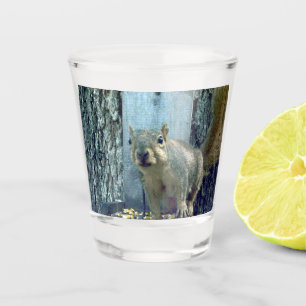 Dikke bril shot glas