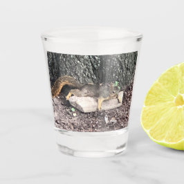 Dikke bril shot glas