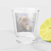 Dikke bril shot glas (Achterkant)