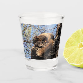 Dikke bril shot glas