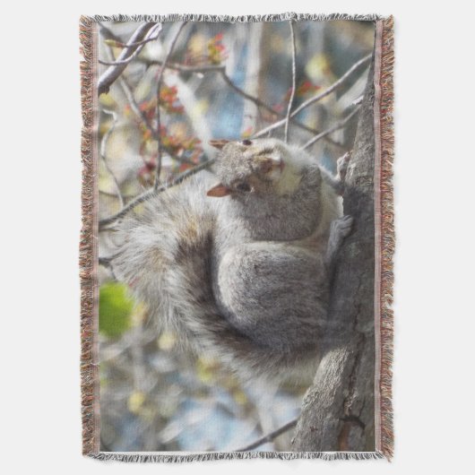 Dikke deken (Voorkant Verticaal)