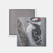 Dikke Downy Woodpecker - Magnet (Voorkant / Achterkant)