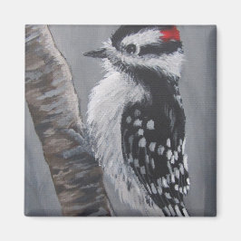 Dikke Downy Woodpecker - Magnet