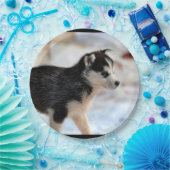 dikke hond papieren bordje (Feest)