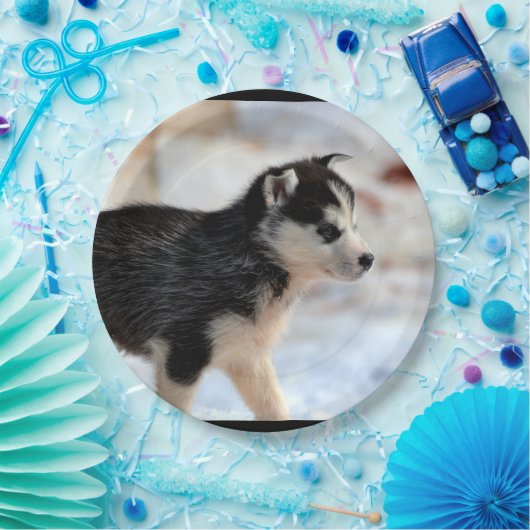 dikke hond papieren bordje (Feest)