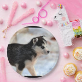 dikke hond papieren bordje (Feest)