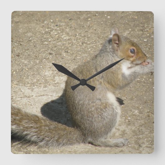Dikke hongerig Horatio-wandklok Vierkante Klok (Voorkant)