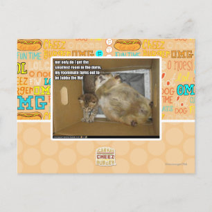 Dikke kamergenoot briefkaart