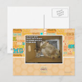 Dikke kamergenoot briefkaart (Voorkant / Achterkant)