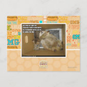 Dikke kamergenoot briefkaart (Voorkant)