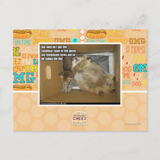 Dikke kamergenoot briefkaart (Voorkant)