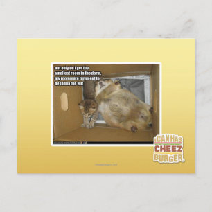 Dikke kamergenoot briefkaart