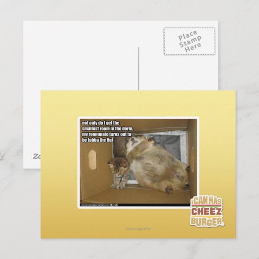 Dikke kamergenoot briefkaart (Voorkant / Achterkant)