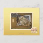 Dikke kamergenoot briefkaart (Voorkant)