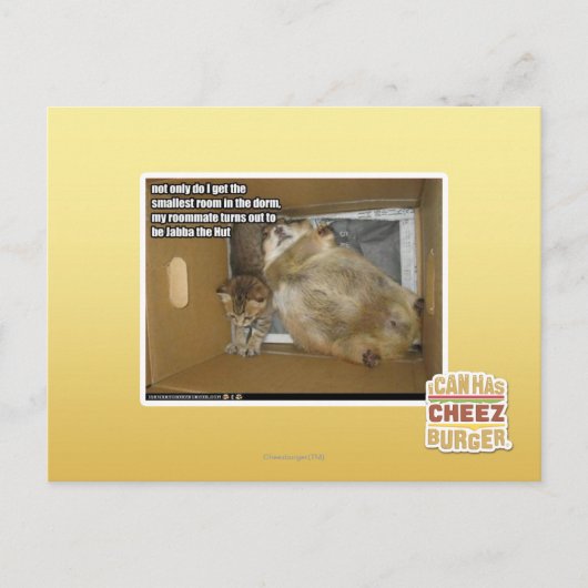 Dikke kamergenoot briefkaart (Voorkant)