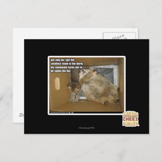 Dikke kamergenoot briefkaart (Voorkant / Achterkant)