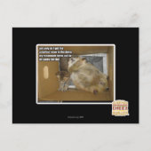 Dikke kamergenoot briefkaart (Voorkant)