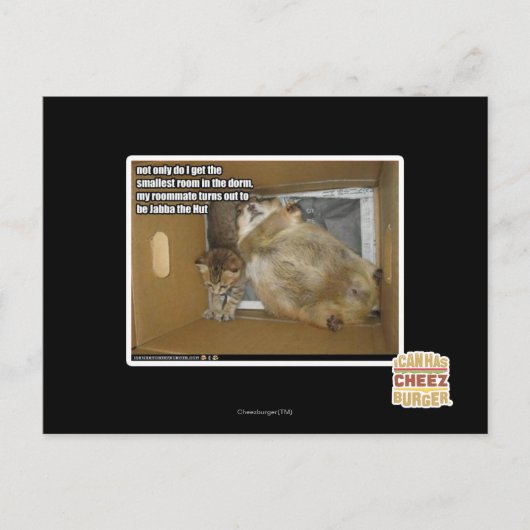 Dikke kamergenoot briefkaart (Voorkant)