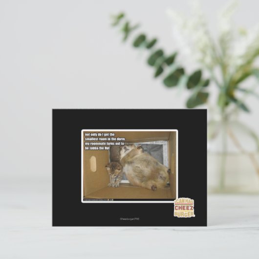 Dikke kamergenoot briefkaart (Staand voorkant)