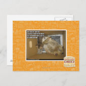 Dikke kamergenoot briefkaart (Voorkant / Achterkant)