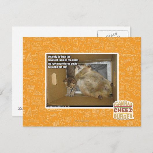 Dikke kamergenoot briefkaart (Voorkant / Achterkant)