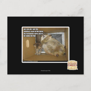 Dikke kamergenoot briefkaart