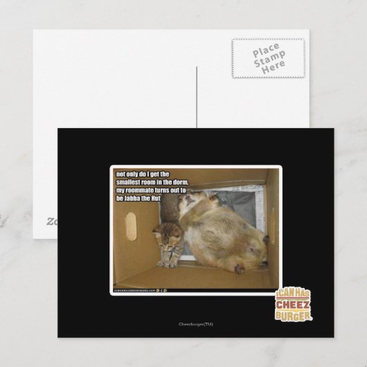 Dikke kamergenoot briefkaart (Voorkant / Achterkant)