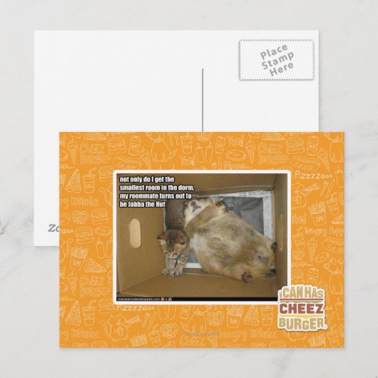 Dikke kamergenoot briefkaart (Voorkant / Achterkant)