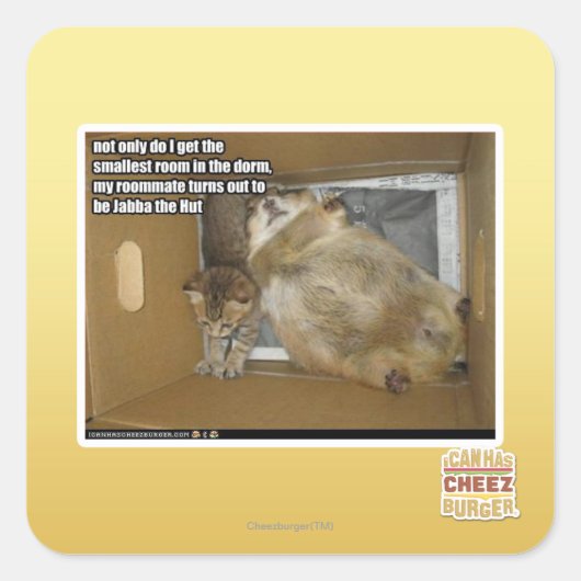 Dikke kamergenoot vierkante sticker (Voorkant)
