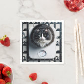 Dikke kat op een badkamerschaal servet (Insitu)