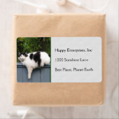 Dikke kat op hek etiket (Insitu)