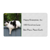 Dikke kat op hek etiket (Voorkant)