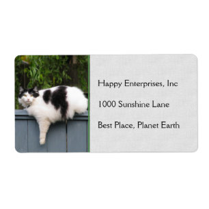 Dikke kat op hek etiket