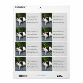 Dikke kat op hek etiket (Full Sheet)