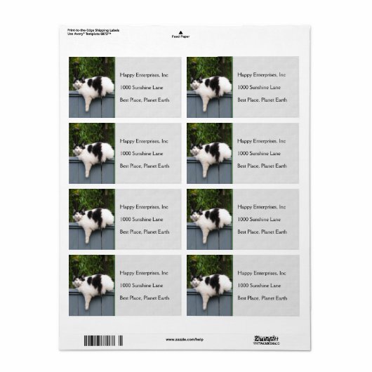 Dikke kat op hek etiket (Full Sheet)