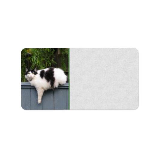 Dikke kat op hek etiket (Voorkant)