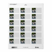 Dikke kat op hek etiket (Full Sheet)