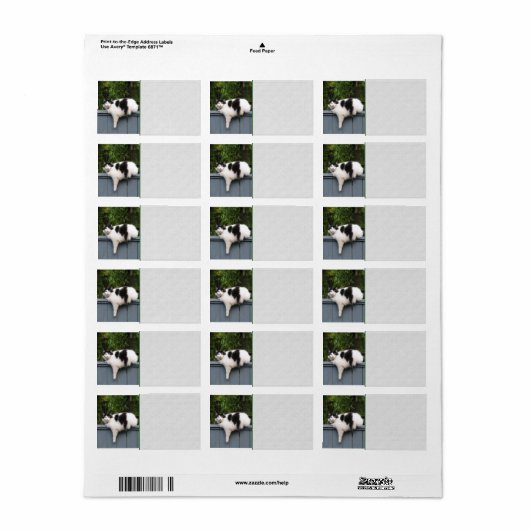 Dikke kat op hek etiket (Full Sheet)