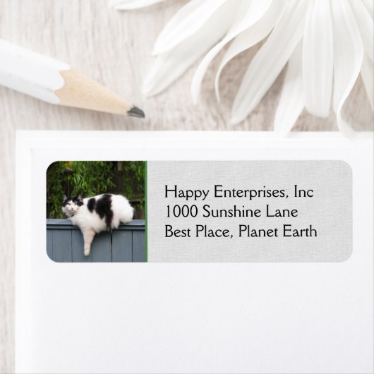 Dikke kat op hek etiket (Insitu)