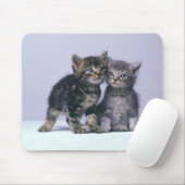 dikke kittens! muismat (Met muis)