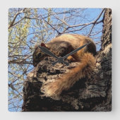 Dikke klok (Voorkant)